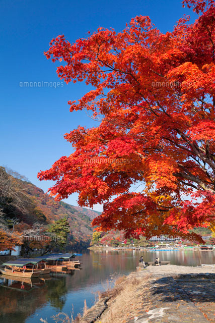 紅葉の嵐山
(c)YOSHITSUGU NISHIGAKI/SEBUN PHOTO