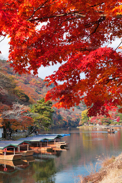 紅葉の嵐山
(c)YOSHITSUGU NISHIGAKI/SEBUN PHOTO