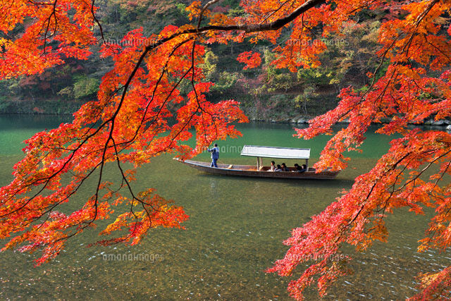 紅葉の嵐山と屋形船
(c)YOSHITSUGU NISHIGAKI/SEBUN PHOTO