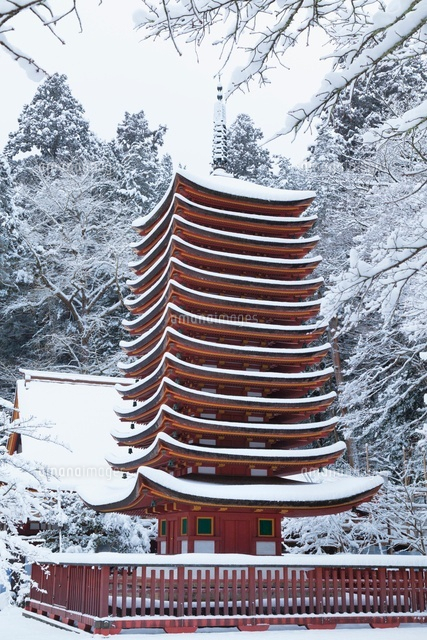 雪の談山神社
(c)YOSHITSUGU NISHIGAKI/SEBUN PHOTO