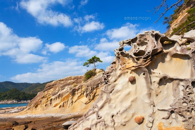 竜串海岸
(c)YOSHITSUGU NISHIGAKI/SEBUN PHOTO