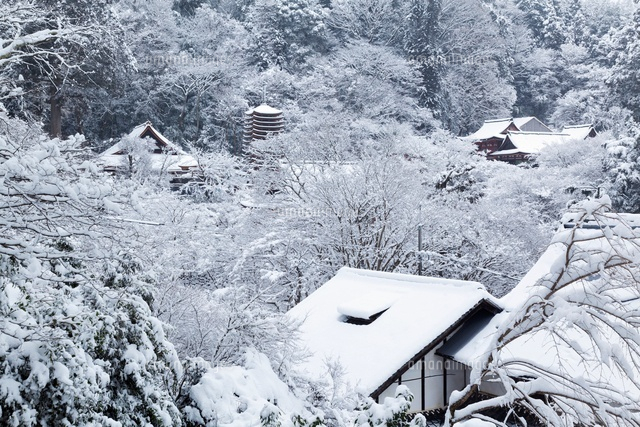 雪の談山神社
(c)YOSHITSUGU NISHIGAKI/SEBUN PHOTO