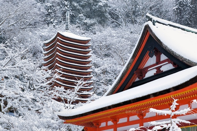 雪の談山神社
(c)YOSHITSUGU NISHIGAKI/SEBUN PHOTO