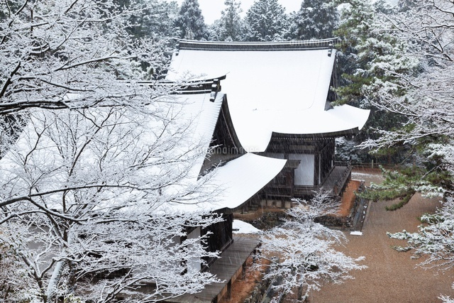 雪の神護寺
(c)YOSHITSUGU NISHIGAKI/SEBUN PHOTO