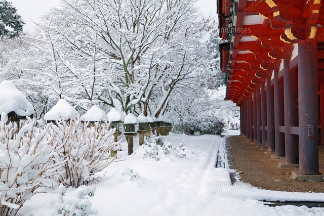 雪の談山神社
(c)YOSHITSUGU NISHIGAKI/SEBUN PHOTO