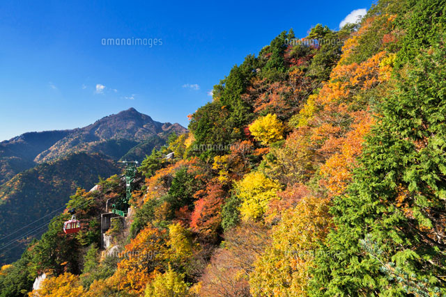 秋の御在所岳ロープウェイと鎌ヶ岳
(c)YOSHITSUGU NISHIGAKI/SEBUN PHOTO