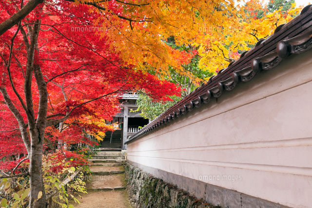 普門寺の紅葉
(c)YOSHITSUGU NISHIGAKI/SEBUN PHOTO