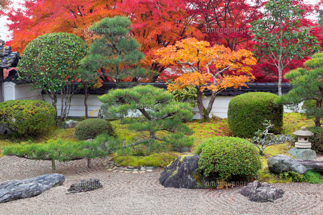 紅葉と普門寺の庭園
(c)YOSHITSUGU NISHIGAKI/SEBUN PHOTO