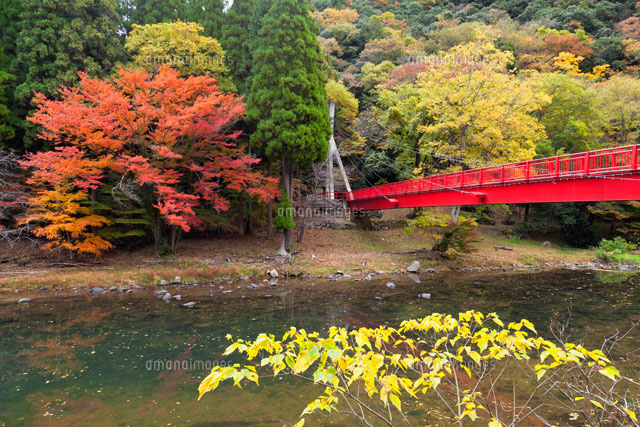 紅葉の宇甘渓
(c)YOSHITSUGU NISHIGAKI/SEBUN PHOTO