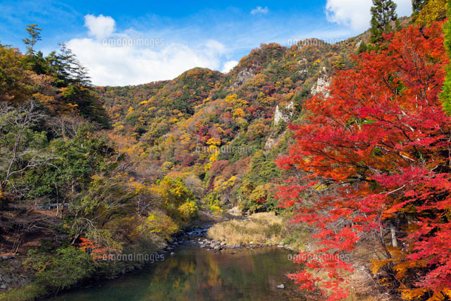 紅葉の宇甘渓
(c)YOSHITSUGU NISHIGAKI/SEBUN PHOTO