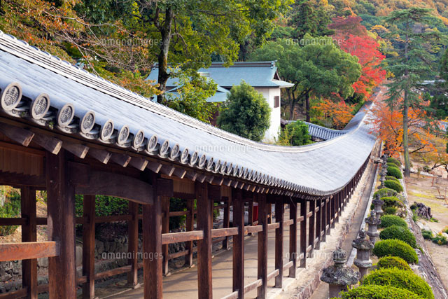 秋の吉備津神社回廊
(c)YOSHITSUGU NISHIGAKI/SEBUN PHOTO