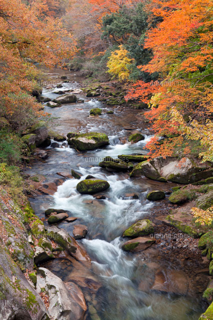 紅葉の鬼の舌震
(c)YOSHITSUGU NISHIGAKI/SEBUN PHOTO