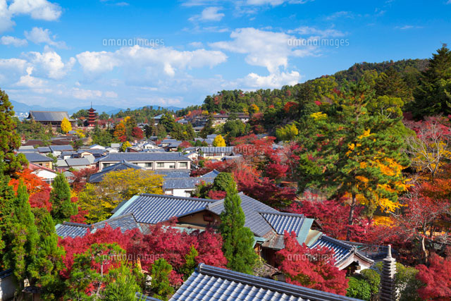 秋の大聖院より厳島神社と五重塔
(c)YOSHITSUGU NISHIGAKI/SEBUN PHOTO
