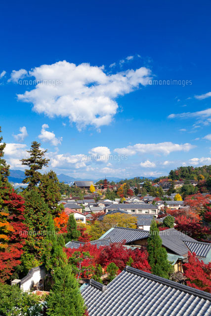 秋の大聖院より厳島神社と五重塔
(c)YOSHITSUGU NISHIGAKI/SEBUN PHOTO