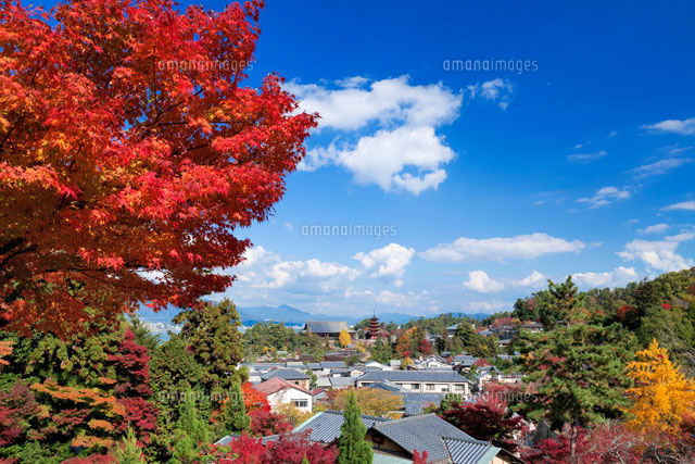 秋の大聖院より厳島神社と五重塔
(c)YOSHITSUGU NISHIGAKI/SEBUN PHOTO