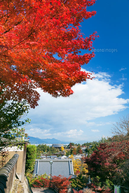 秋の大聖院より厳島神社と五重塔
(c)YOSHITSUGU NISHIGAKI/SEBUN PHOTO