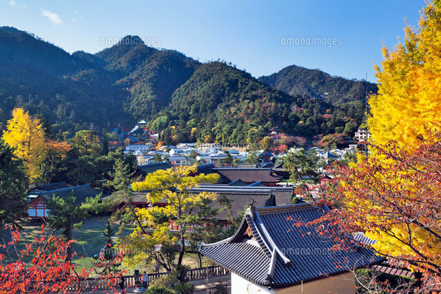秋の厳島神社
(c)YOSHITSUGU NISHIGAKI/SEBUN PHOTO