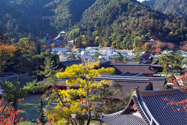 秋の厳島神社
(c)YOSHITSUGU NISHIGAKI/SEBUN PHOTO