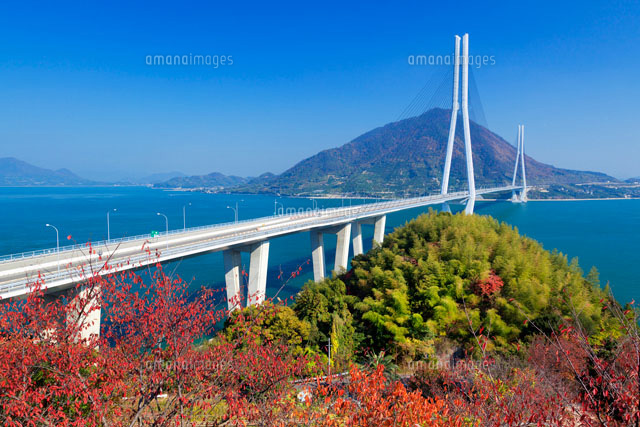 秋の多々羅大橋
(c)YOSHITSUGU NISHIGAKI/SEBUN PHOTO