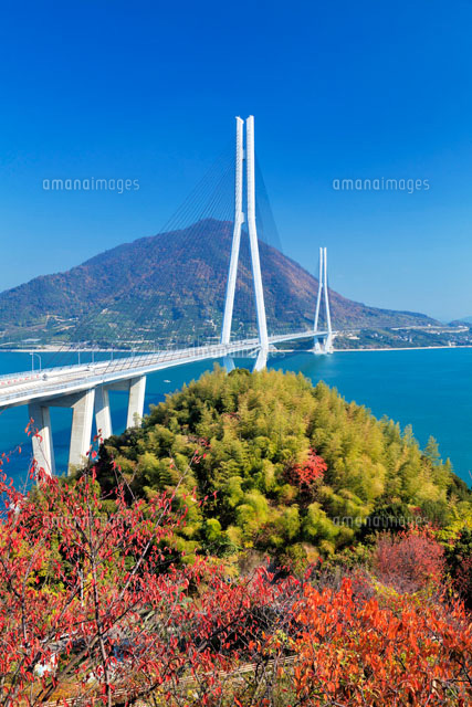 秋の多々羅大橋
(c)YOSHITSUGU NISHIGAKI/SEBUN PHOTO