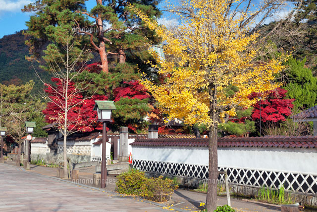 紅葉の殿町通り
(c)YOSHITSUGU NISHIGAKI/SEBUN PHOTO