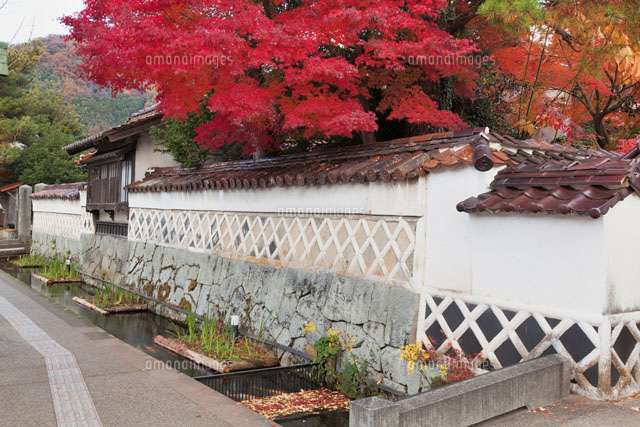 紅葉の殿町通り
(c)YOSHITSUGU NISHIGAKI/SEBUN PHOTO