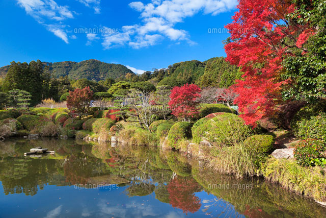 秋の香山公園
(c)YOSHITSUGU NISHIGAKI/SEBUN PHOTO