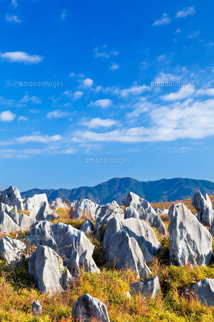 秋の秋吉台
(c)YOSHITSUGU NISHIGAKI/SEBUN PHOTO