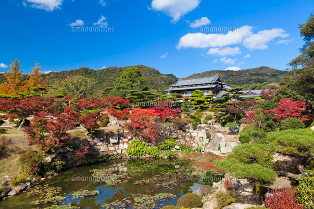 秋の毛利氏庭園
(c)YOSHITSUGU NISHIGAKI/SEBUN PHOTO