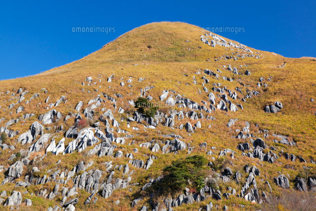 秋の平尾台
(c)YOSHITSUGU NISHIGAKI/SEBUN PHOTO