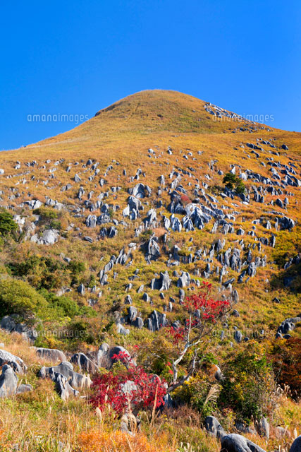 秋の平尾台
(c)YOSHITSUGU NISHIGAKI/SEBUN PHOTO