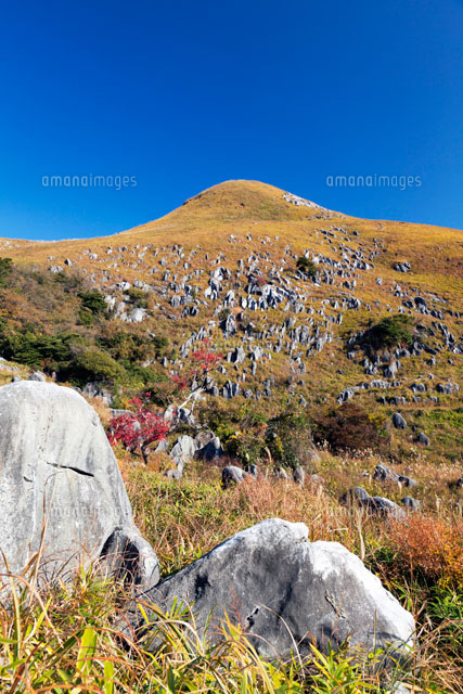 秋の平尾台
(c)YOSHITSUGU NISHIGAKI/SEBUN PHOTO