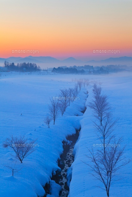 朝の雪原と蒜山高原
(c)YOSHITSUGU NISHIGAKI/SEBUN PHOTO