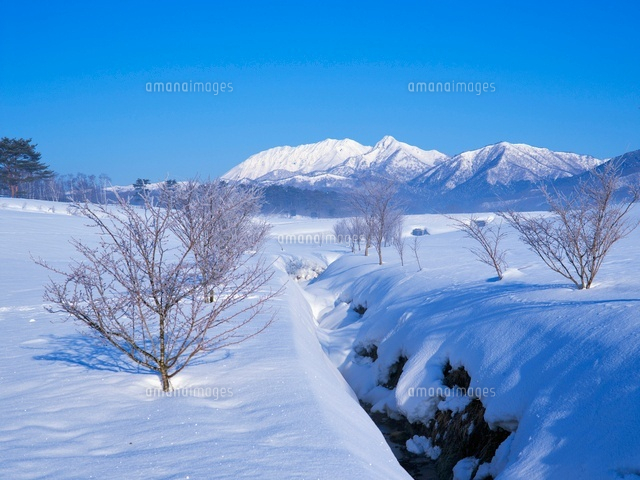 雪の蒜山高原より大山
(c)YOSHITSUGU NISHIGAKI/SEBUN PHOTO