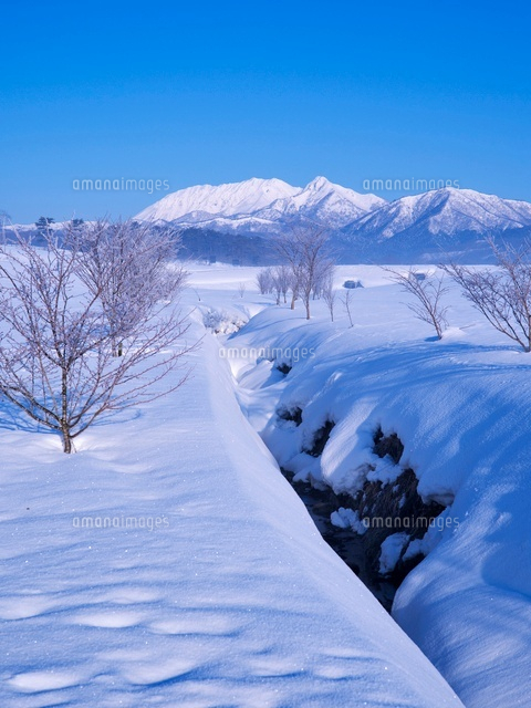 雪の蒜山高原より大山
(c)YOSHITSUGU NISHIGAKI/SEBUN PHOTO