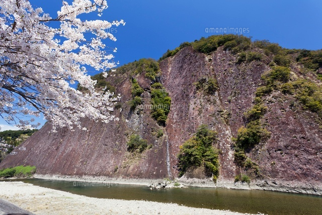 桜と古座川一枚岩
(c)YOSHITSUGU NISHIGAKI/SEBUN PHOTO
