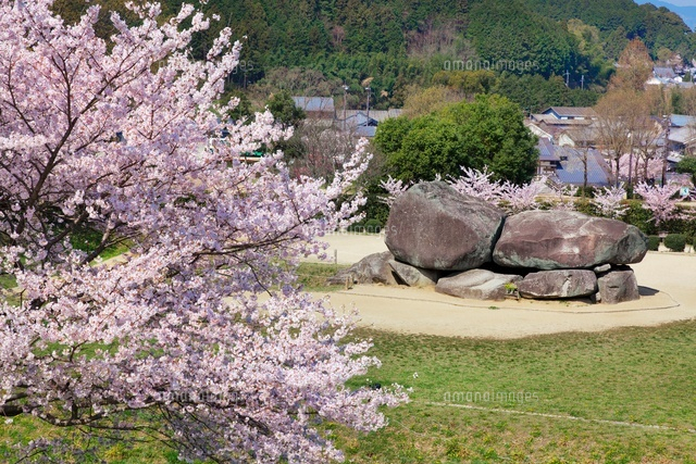 桜と石舞台
(c)YOSHITSUGU NISHIGAKI/SEBUN PHOTO