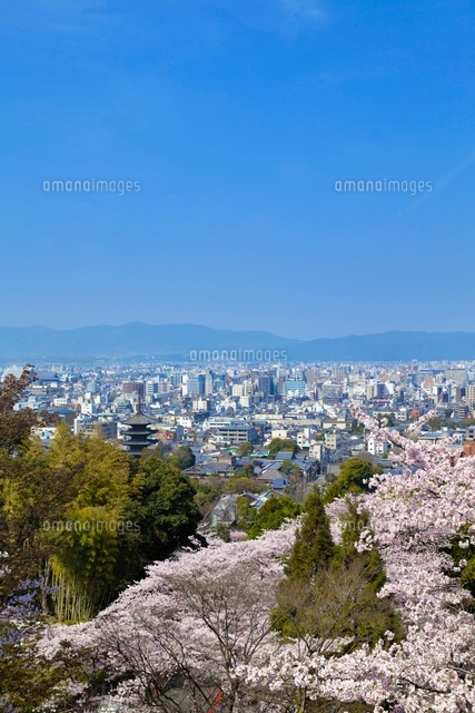 桜と京都市街
(c)YOSHITSUGU NISHIGAKI/SEBUN PHOTO