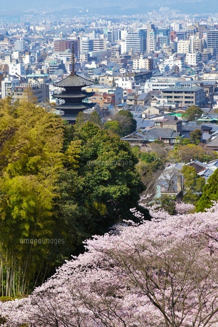 桜と京都市街
(c)YOSHITSUGU NISHIGAKI/SEBUN PHOTO