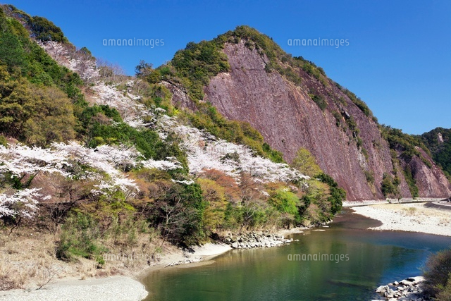 桜と古座川一枚岩
(c)YOSHITSUGU NISHIGAKI/SEBUN PHOTO