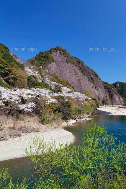 桜と古座川一枚岩
(c)YOSHITSUGU NISHIGAKI/SEBUN PHOTO