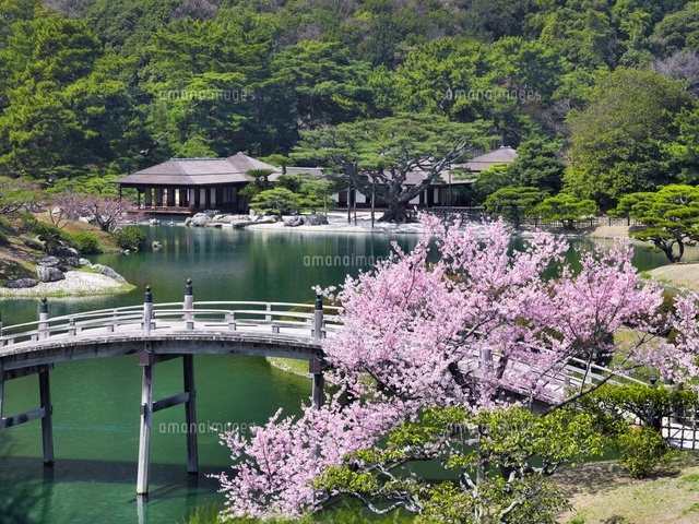 桜咲く栗林公園
(c)YOSHITSUGU NISHIGAKI/SEBUN PHOTO