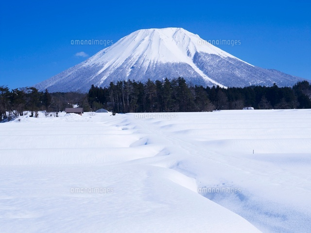 雪の大山
(c)YOSHITSUGU NISHIGAKI/SEBUN PHOTO