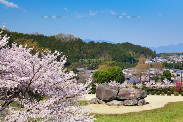 桜と石舞台
(c)YOSHITSUGU NISHIGAKI/SEBUN PHOTO
