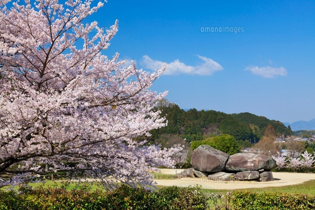 桜と石舞台
(c)YOSHITSUGU NISHIGAKI/SEBUN PHOTO