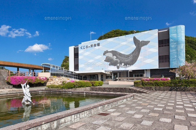 くじらの博物館
(c)YOSHITSUGU NISHIGAKI/SEBUN PHOTO