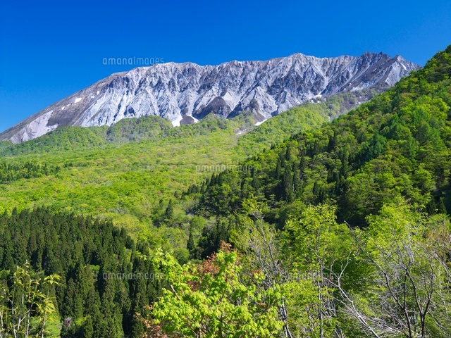 新緑の鍵掛峠より大山
(c)YOSHITSUGU NISHIGAKI/SEBUN PHOTO