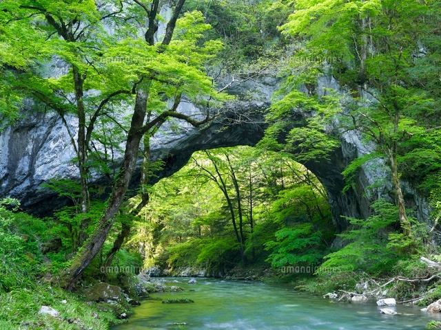 新緑の帝釈峡と雄橋
(c)YOSHITSUGU NISHIGAKI/SEBUN PHOTO