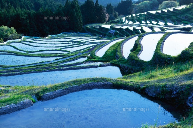 丸山千枚田の夕景
(c)YOSHITSUGU NISHIGAKI/SEBUN PHOTO