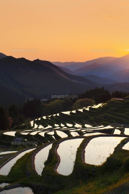 丸山千枚田の夕景
(c)YOSHITSUGU NISHIGAKI/SEBUN PHOTO